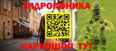 стаф Будённовск
