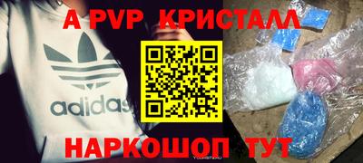 стаф Будённовск