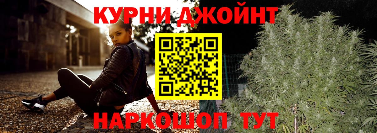 Канабис планчик Сегежа